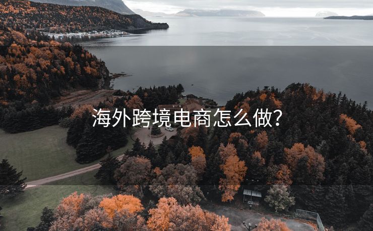 海外跨境电商怎么做？