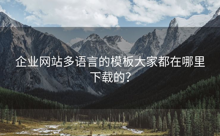 企业网站多语言的模板大家都在哪里下载的？