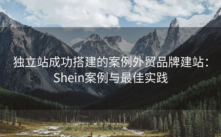 独立站成功搭建的案例外贸品牌建站：Shein案例与最佳实践