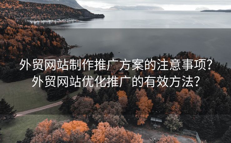 外贸网站制作推广方案的注意事项？外贸网站优化推广的有效方法？