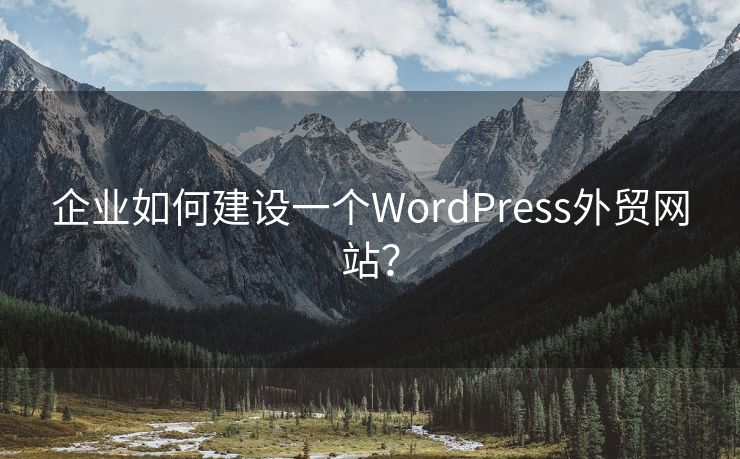 企业如何建设一个WordPress外贸网站？