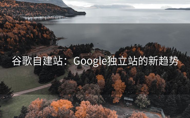 谷歌自建站：Google独立站的新趋势