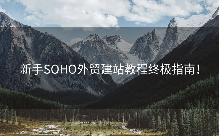 新手SOHO外贸建站教程终极指南！