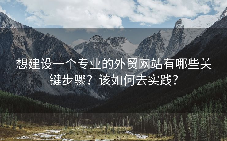 想建设一个专业的外贸网站有哪些关键步骤？该如何去实践？