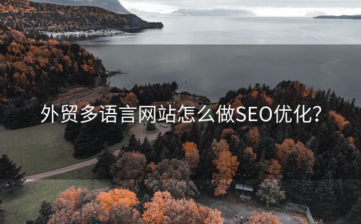 外贸多语言网站怎么做SEO优化？