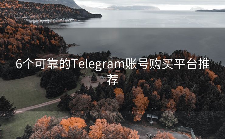 6个可靠的Telegram账号购买平台推荐