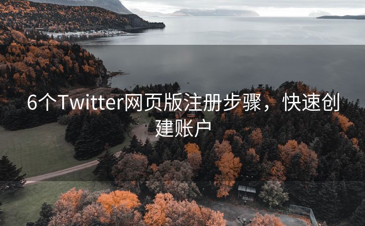 6个Twitter网页版注册步骤，快速创建账户