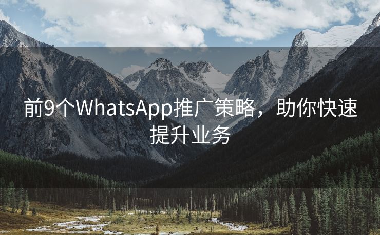 前9个WhatsApp推广策略，助你快速提升业务