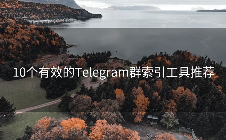 10个有效的Telegram群索引工具推荐