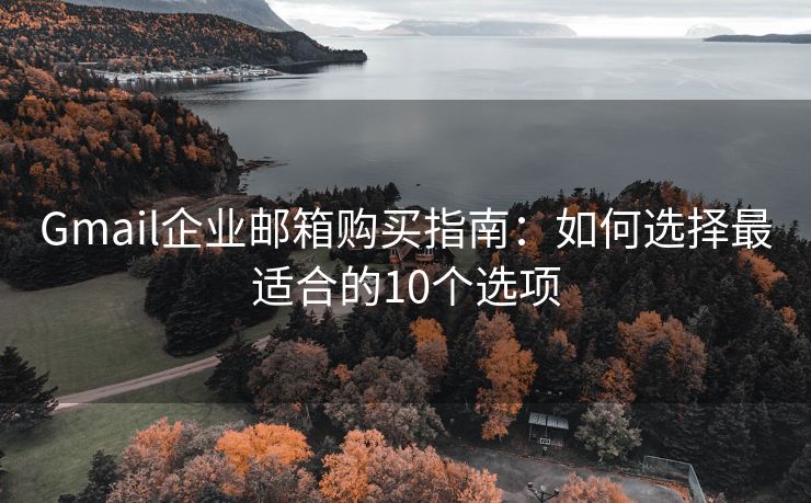 Gmail企业邮箱购买指南：如何选择最适合的10个选项