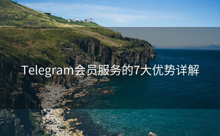 Telegram会员服务的7大优势详解