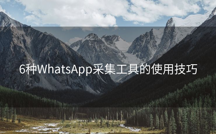 6种WhatsApp采集工具的使用技巧