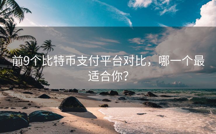 前9个比特币支付平台对比，哪一个最适合你？