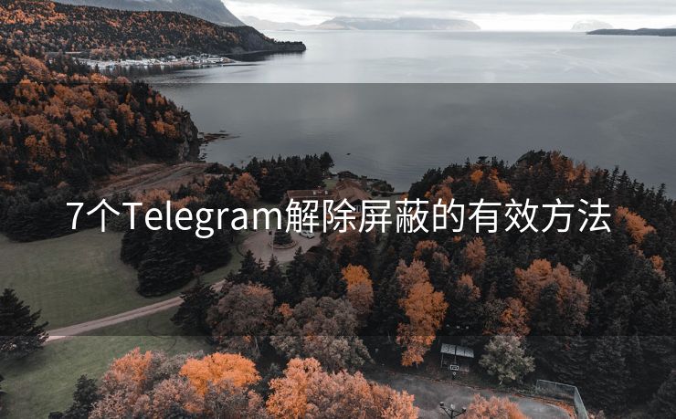 7个Telegram解除屏蔽的有效方法