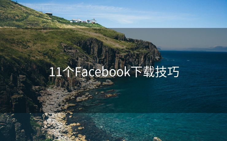 11个Facebook下载技巧