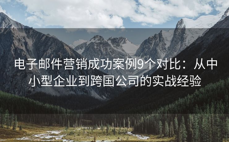 电子邮件营销成功案例9个对比：从中小型企业到跨国公司的实战经验