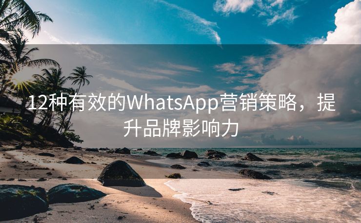 12种有效的WhatsApp营销策略，提升品牌影响力