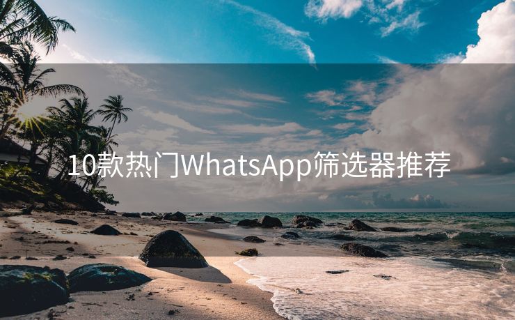 10款热门WhatsApp筛选器推荐