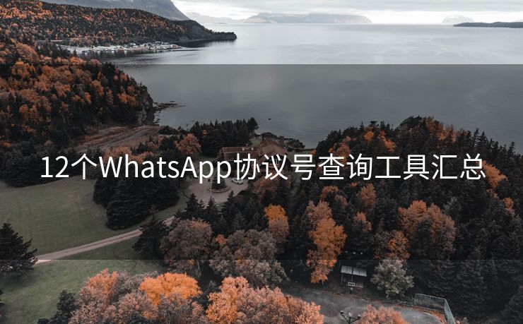 12个WhatsApp协议号查询工具汇总