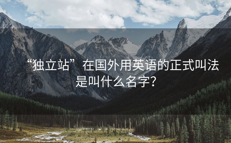 “独立站”在国外用英语的正式叫法是叫什么名字？