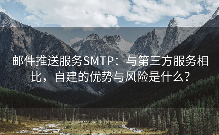 邮件推送服务SMTP：与第三方服务相比，自建的优势与风险是什么？