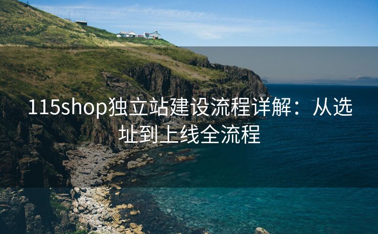 115shop独立站建设流程详解：从选址到上线全流程