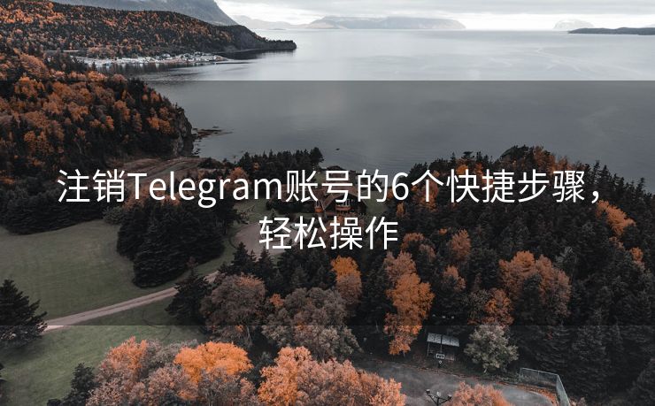 注销Telegram账号的6个快捷步骤，轻松操作