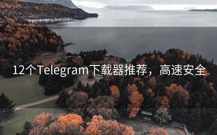 12个Telegram下载器推荐，高速安全