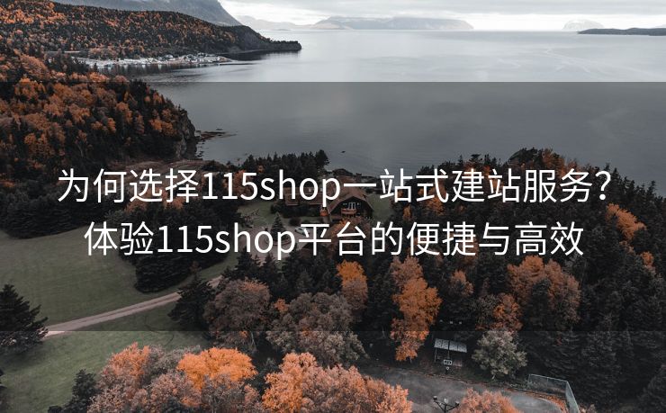 为何选择115shop一站式建站服务？体验115shop平台的便捷与高效