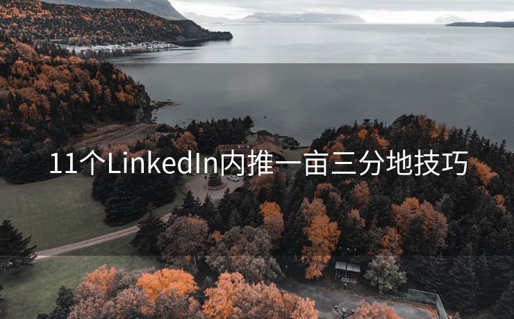 11个LinkedIn内推一亩三分地技巧