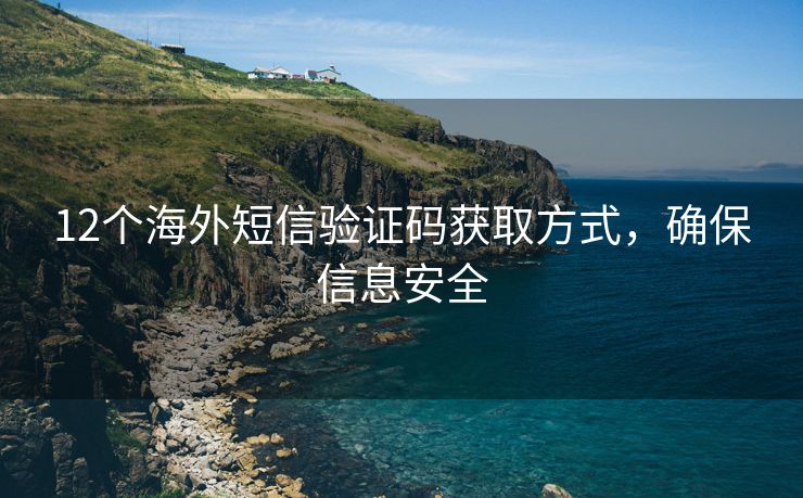 12个海外短信验证码获取方式，确保信息安全