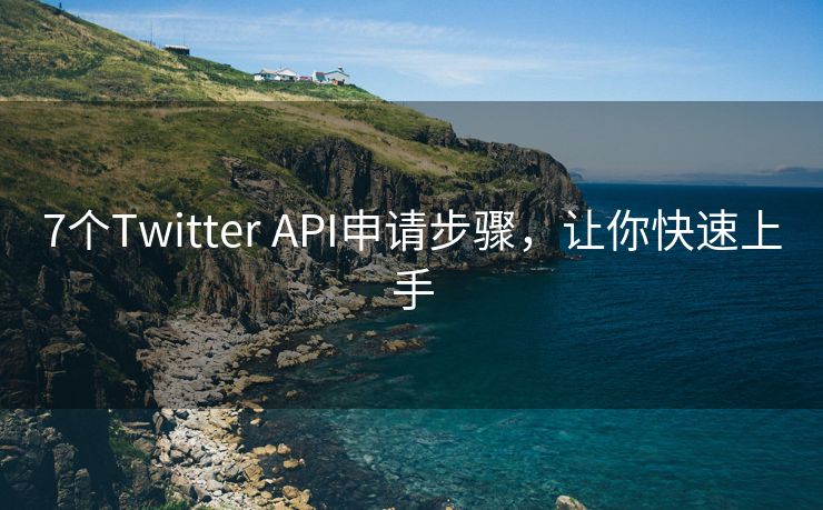 7个Twitter API申请步骤，让你快速上手